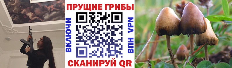 Псилоцибиновые грибы MAGIC MUSHROOMS Черняховск