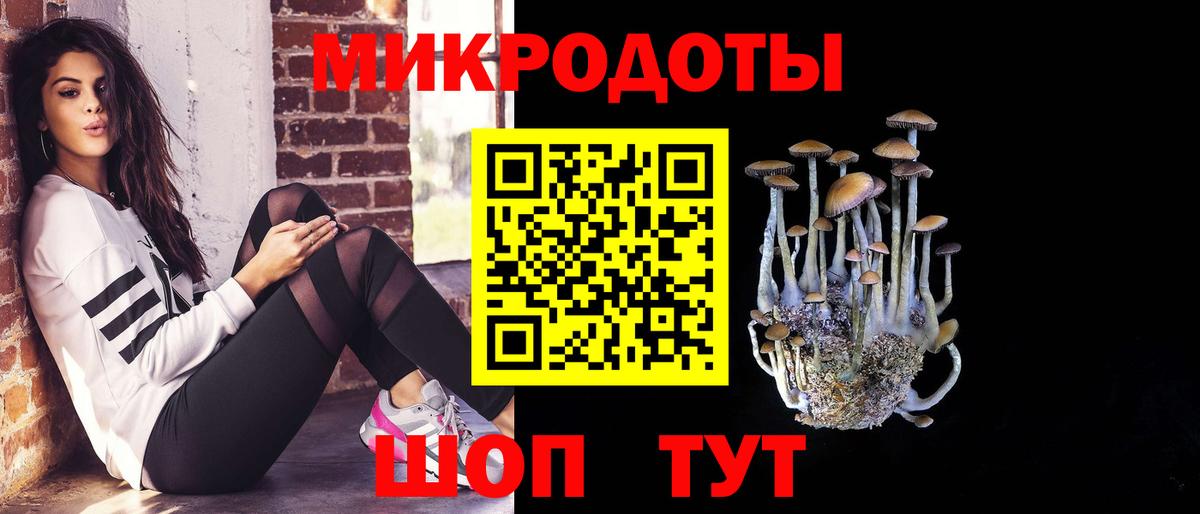 Псилоцибиновые грибы Magic Shrooms Черняховск
