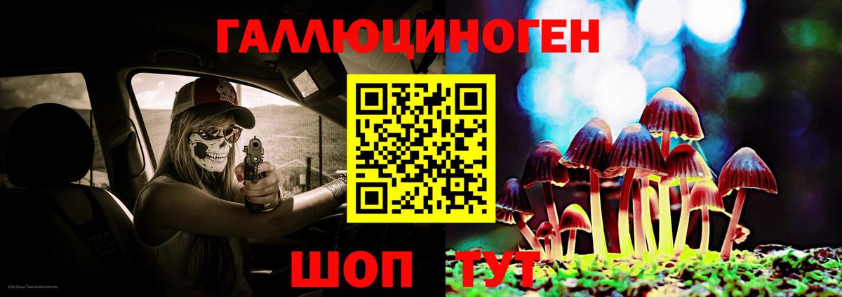Псилоцибиновые грибы GOLDEN TEACHER  Вход с VPN  Черняховск  Галлюциногенные грибы ЛСД 